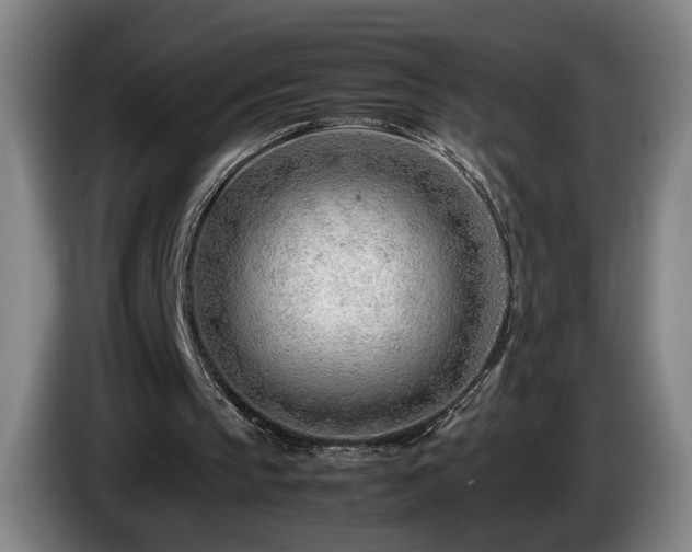 X0000085210145200703091146