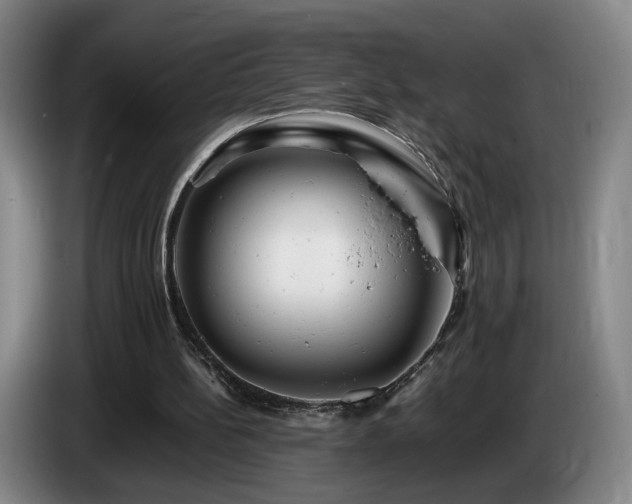 X0000085210148200703091146