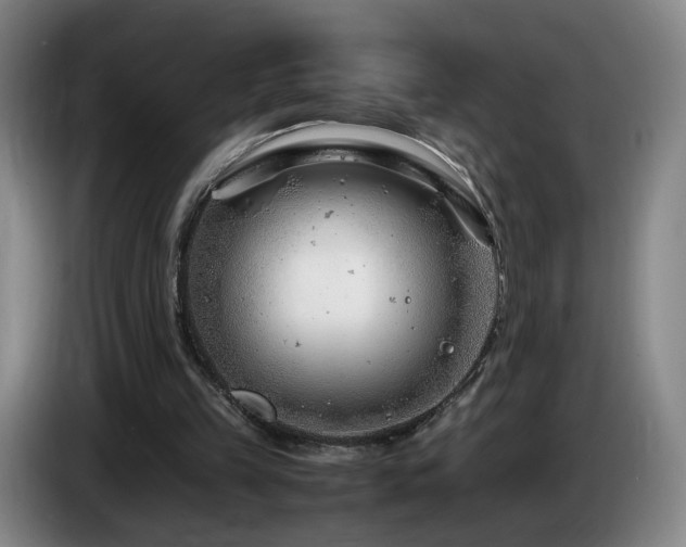 X0000085210149200703091146