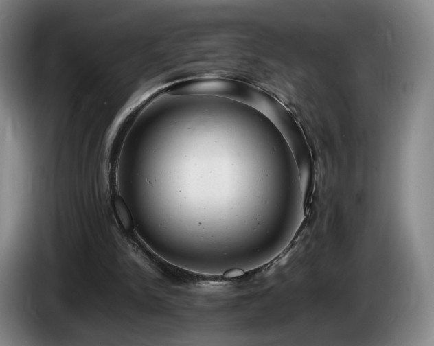 X0000085210150200703091146