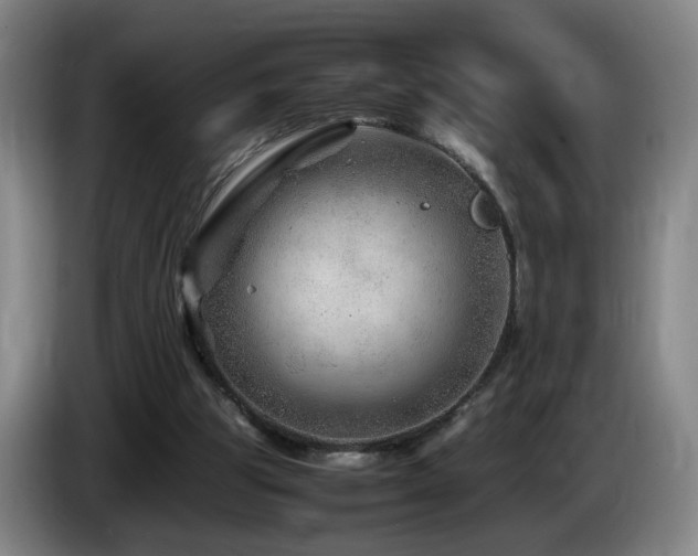 X0000085210153200703091146