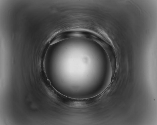 X0000085210154200703091146