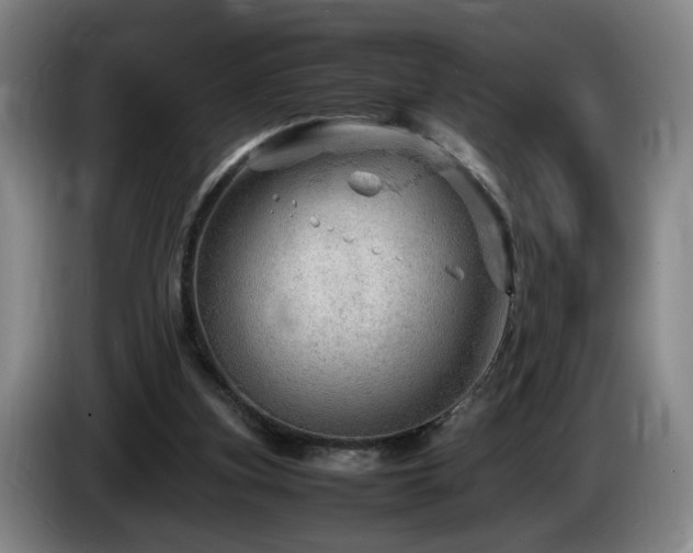 X0000085210155200703091146