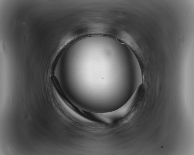 X0000085210156200703091146
