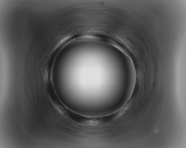 X0000085210158200703091146
