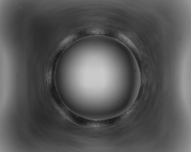 X0000085210163200703091146