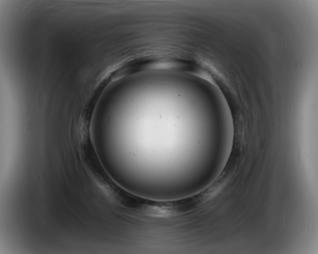 X0000085210164200703091146
