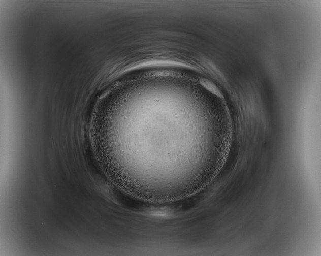 X0000085210169200703091146
