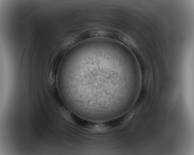 X0000085210173200703091146