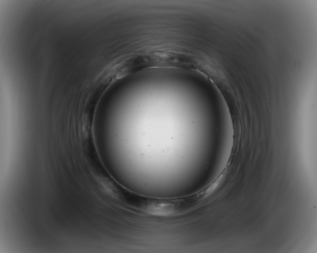X0000085210174200703091146