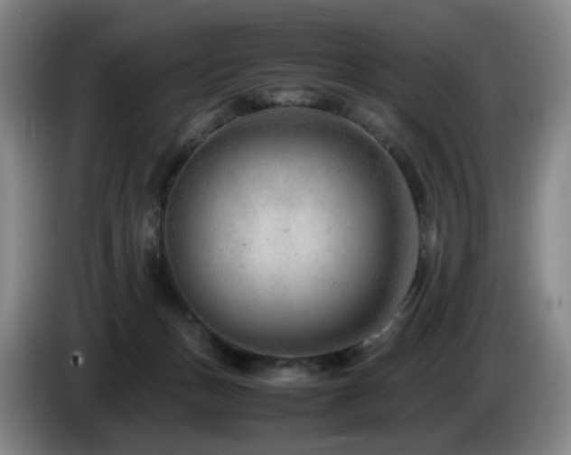 X0000085210175200703091146