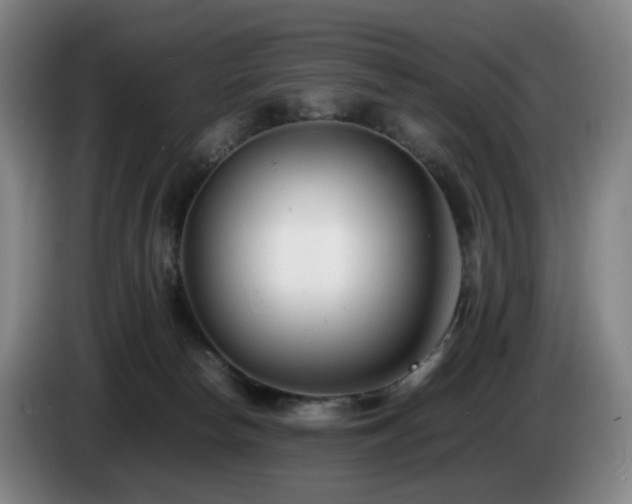 X0000085210178200703091146