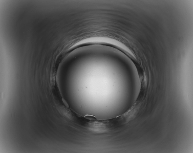 X0000085210180200703091146