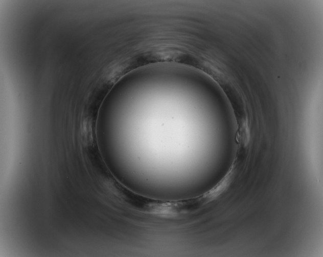 X0000085210182200703091146