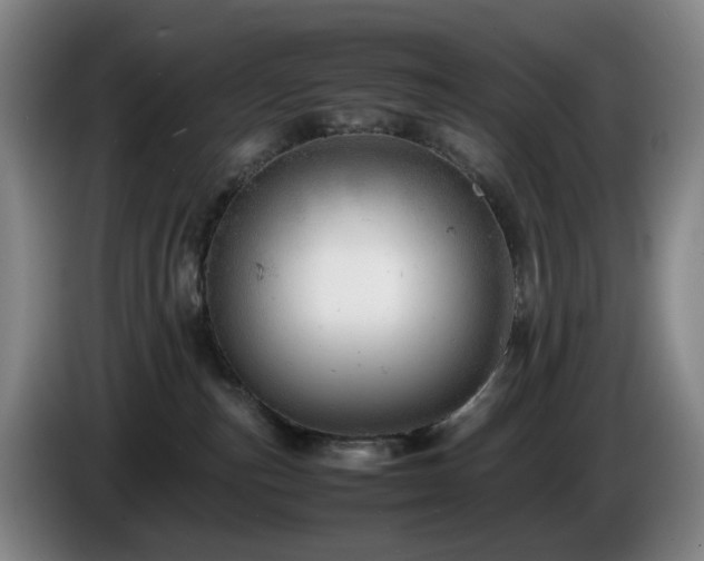 X0000085210187200703091146