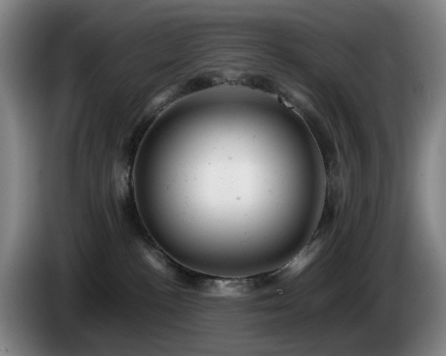 X0000085210188200703091146