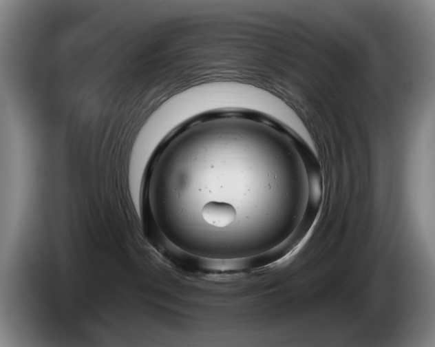 X0000085210190200703091146