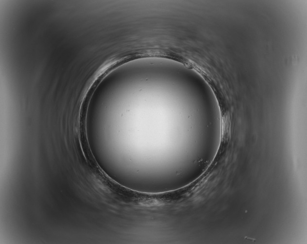 X0000085210195200703091146