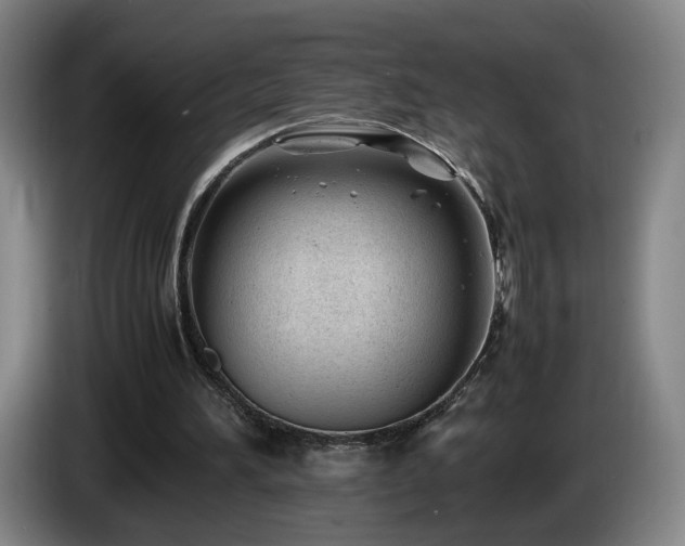 X0000085210196200703091146