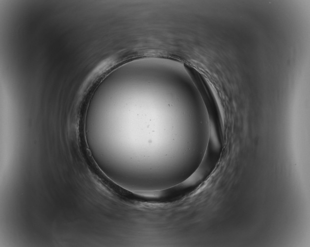 X0000085210197200703091146