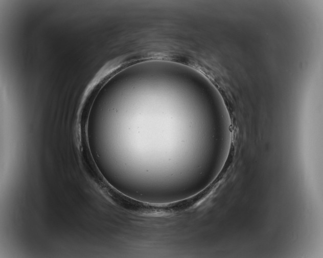 X0000085210198200703091146