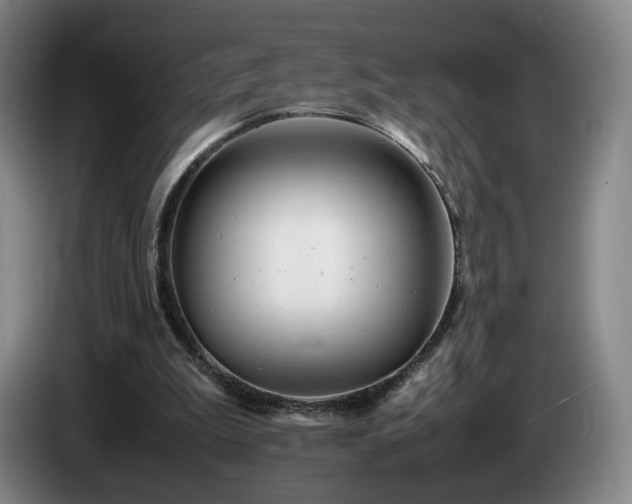 X0000085210199200703091146