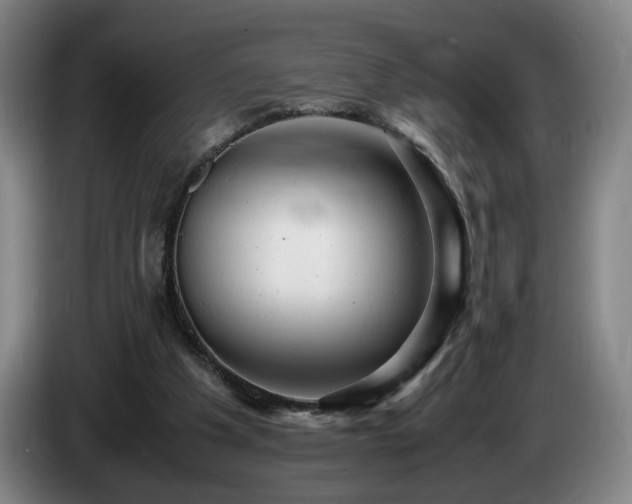 X0000085210201200703091146