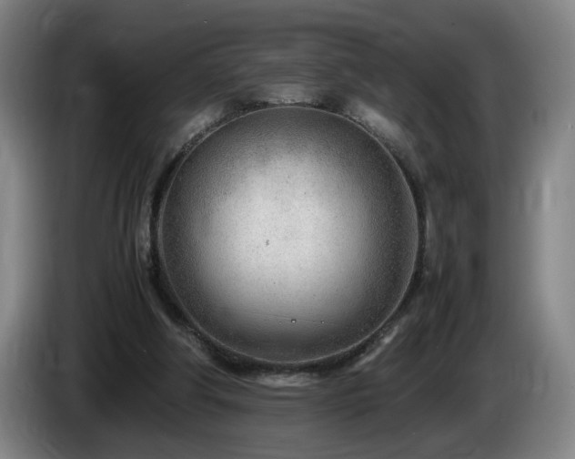 X0000085210202200703091146