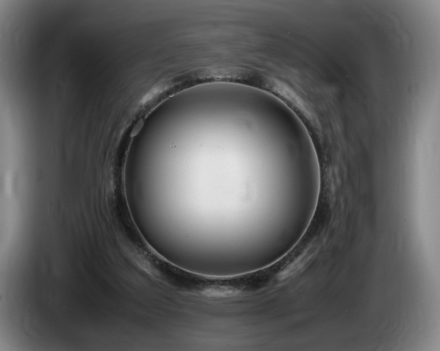 X0000085210203200703091146
