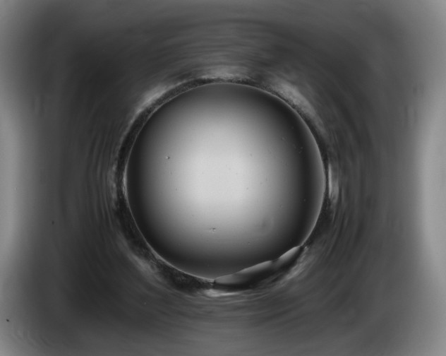 X0000085210204200703091146