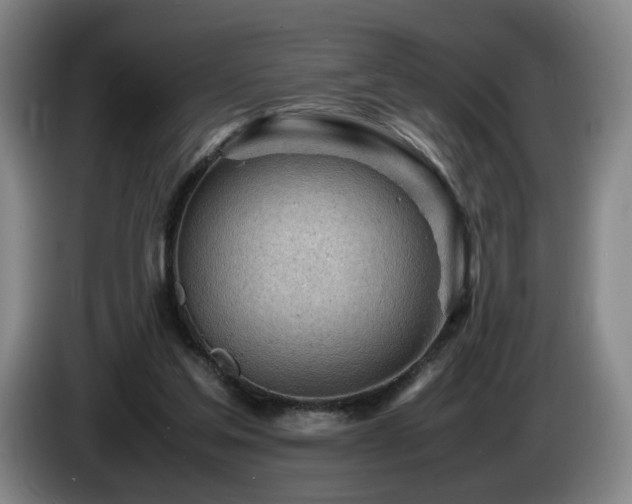 X0000085210205200703091146