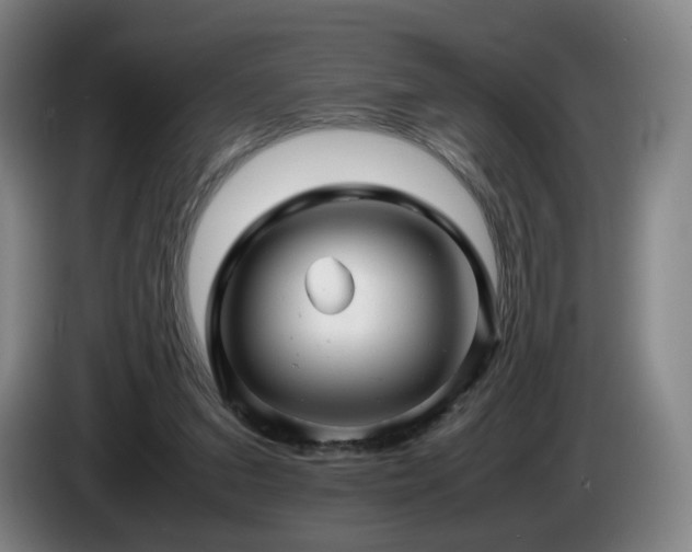 X0000085210207200703091146