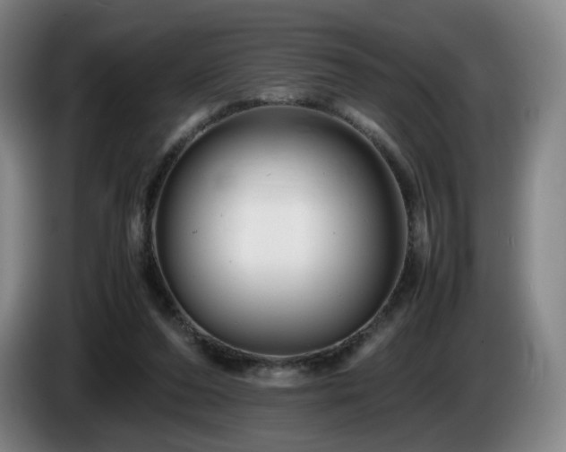 X0000085210208200703091146