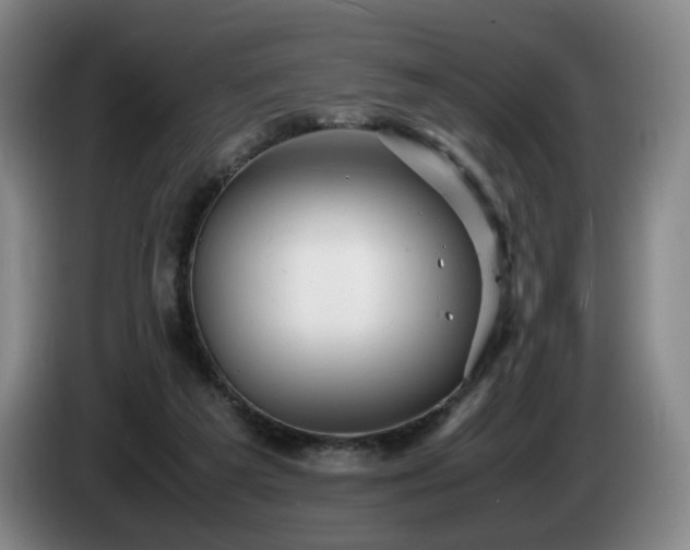 X0000085210209200703091146