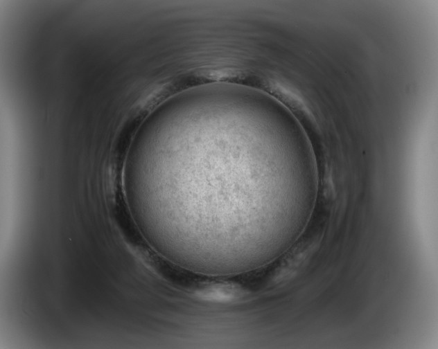 X0000085210210200703091146