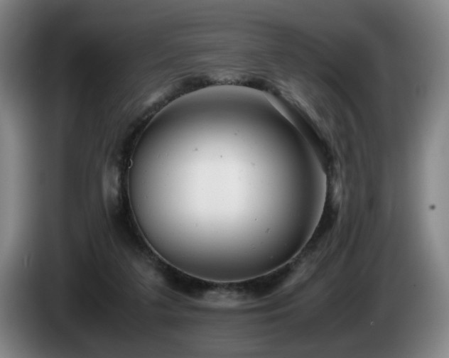 X0000085210211200703091146