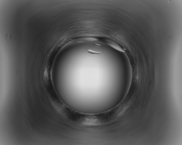 X0000085210214200703091146