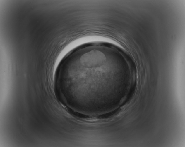 X0000085210219200703091145