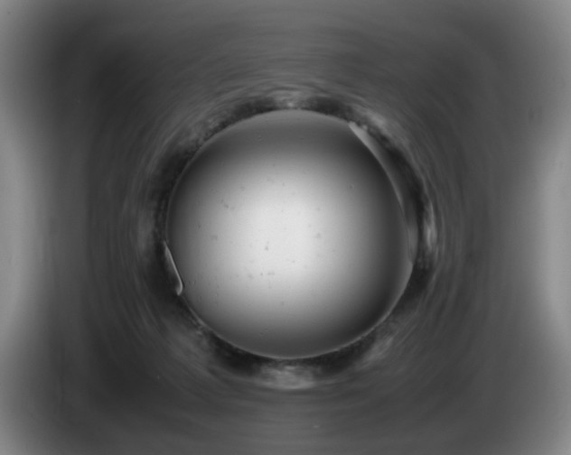 X0000085210221200703091145