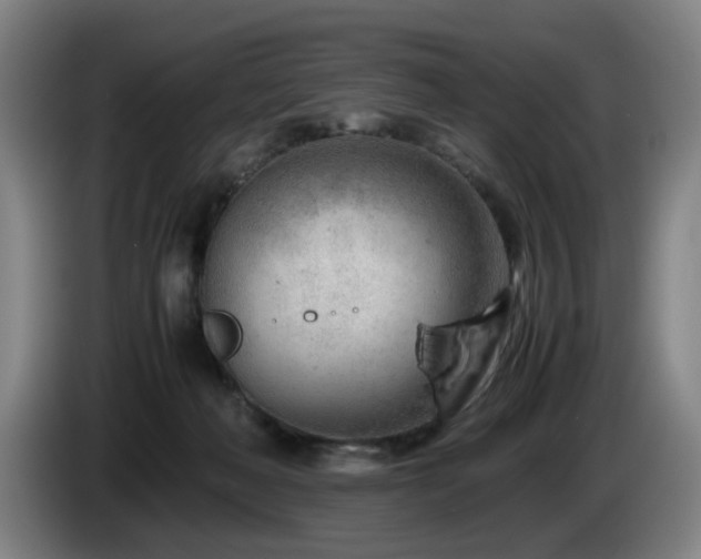 X0000085210222200703091145