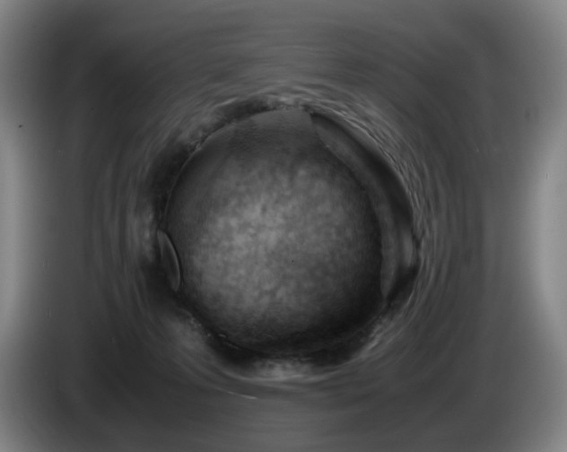 X0000085210223200703091145