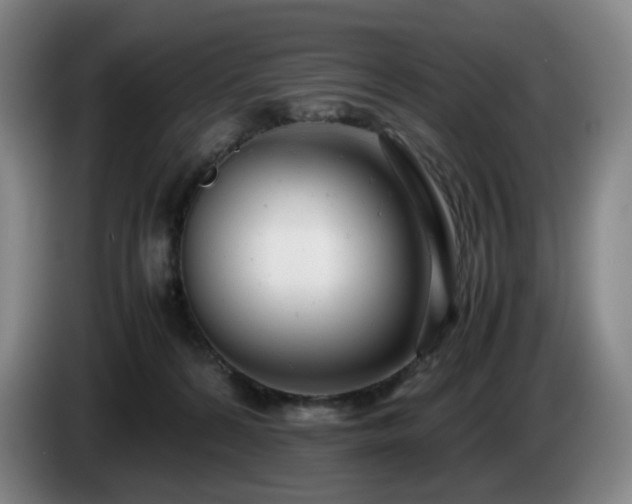 X0000085210224200703091145