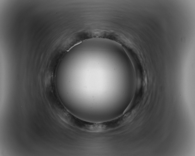 X0000085210225200703091145