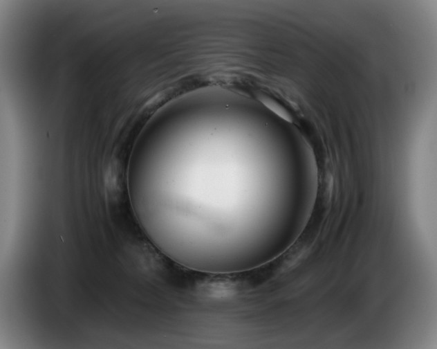 X0000085210228200703091145