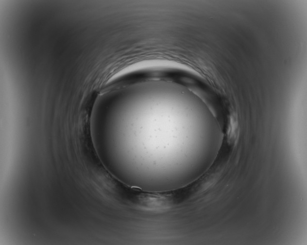 X0000085210229200703091145