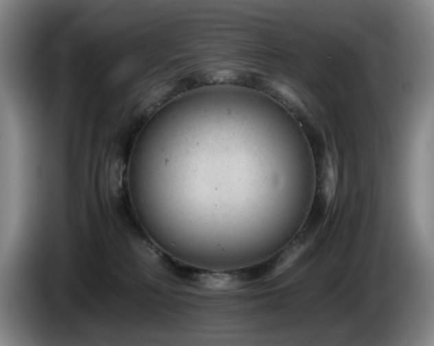 X0000085210230200703091145
