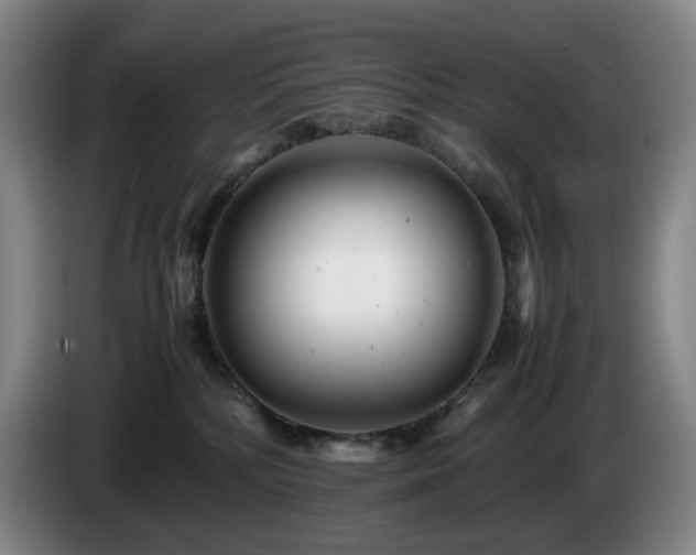 X0000085210232200703091145