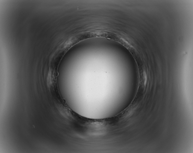 X0000085210236200703091145