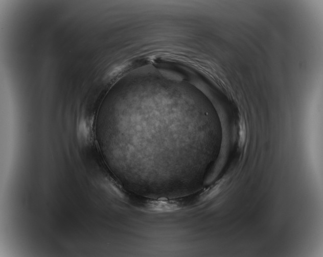 X0000085210239200703091145