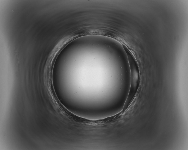 X0000085210241200703091145